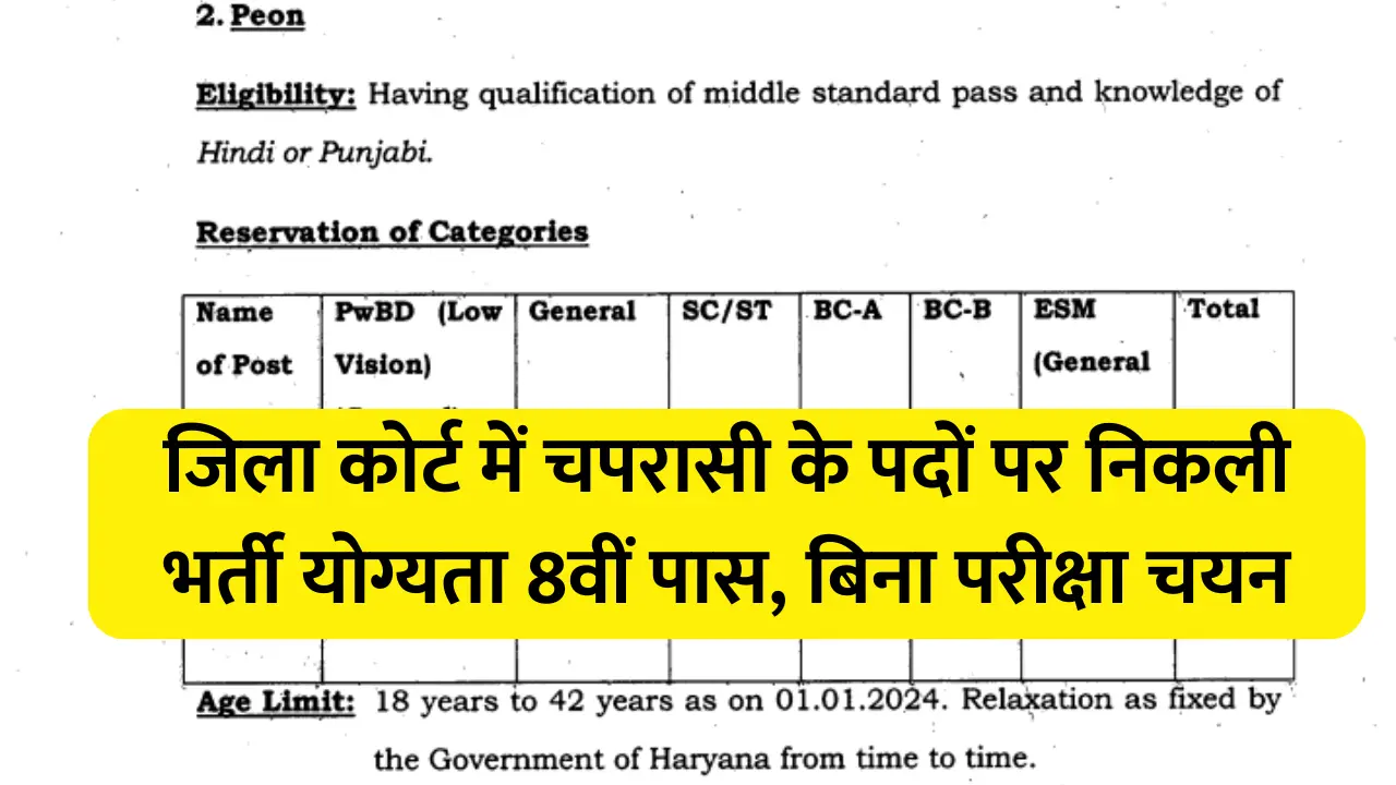 District Court Peon Vacancy December 2024