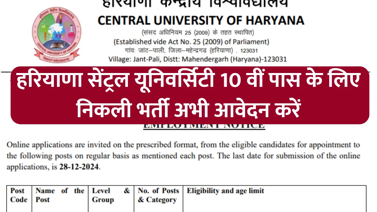 Haryana Central University Vacancy 2024